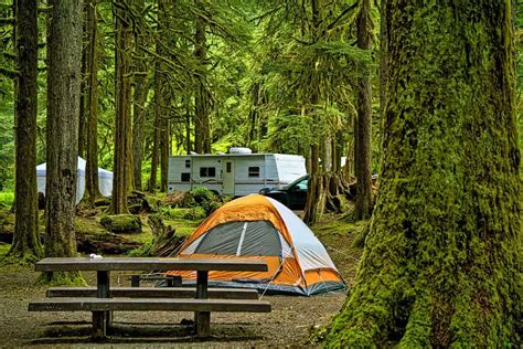 Camping in Florence, OR, US: 12 Best Campgrounds 2024